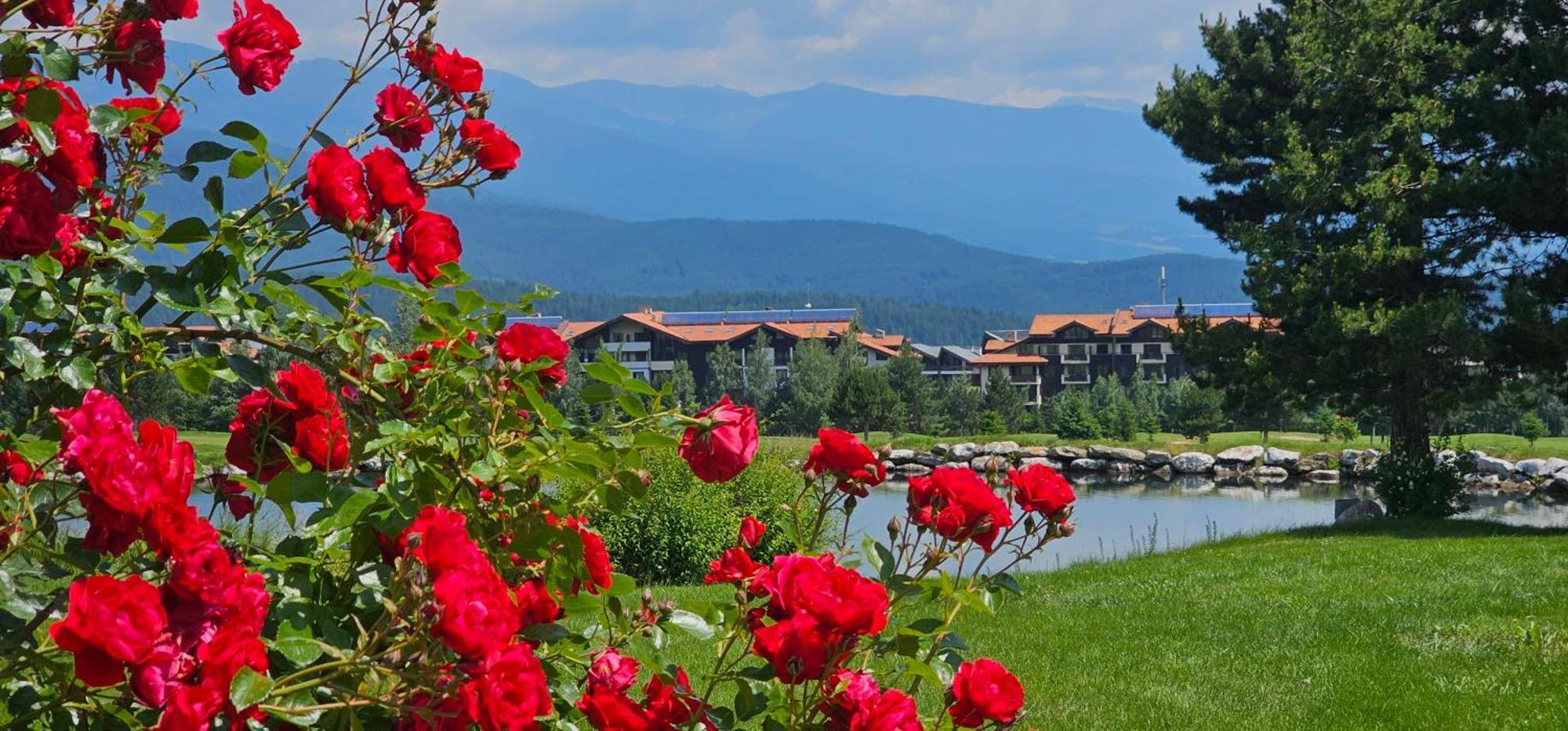 Green Peaks Suite In Pirin Golf & County Club رازلوغ المظهر الخارجي الصورة