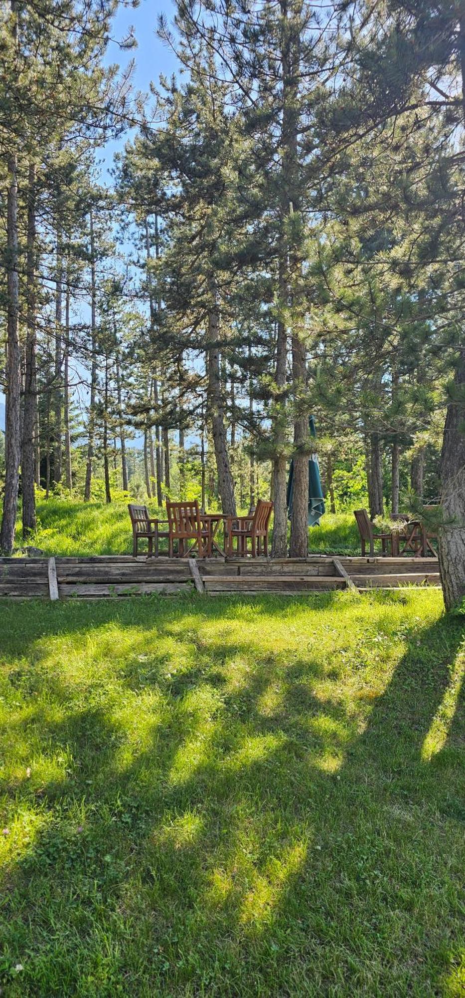 Green Peaks Suite In Pirin Golf & County Club رازلوغ الغرفة الصورة
