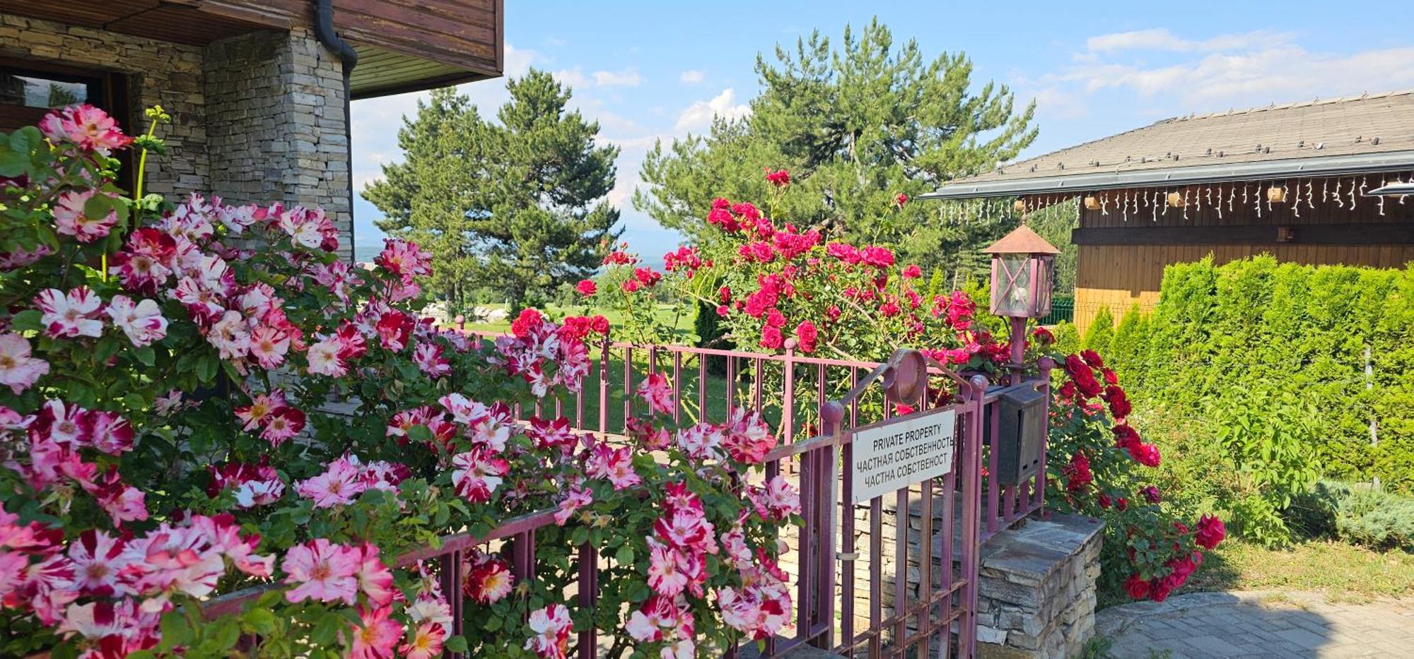 Green Peaks Suite In Pirin Golf & County Club رازلوغ المظهر الخارجي الصورة