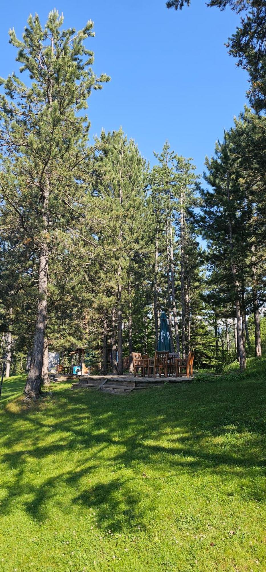 Green Peaks Suite In Pirin Golf & County Club رازلوغ الغرفة الصورة