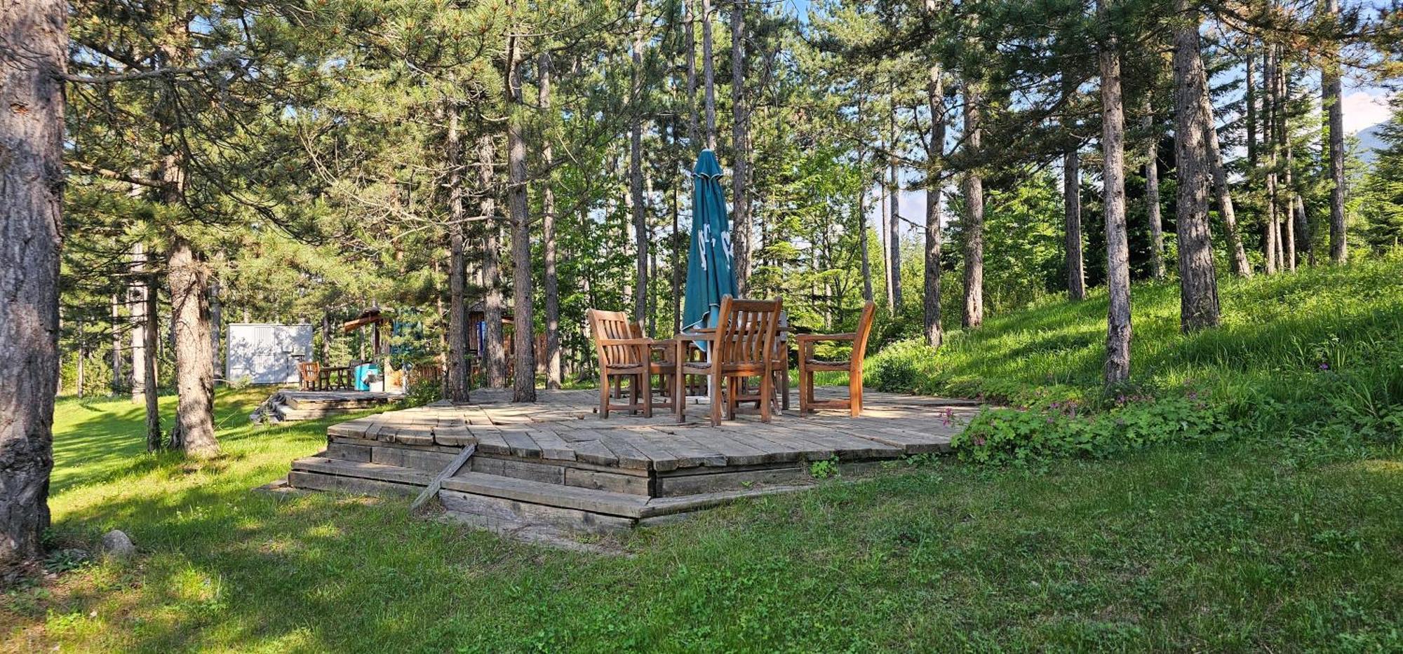 Green Peaks Suite In Pirin Golf & County Club رازلوغ المظهر الخارجي الصورة